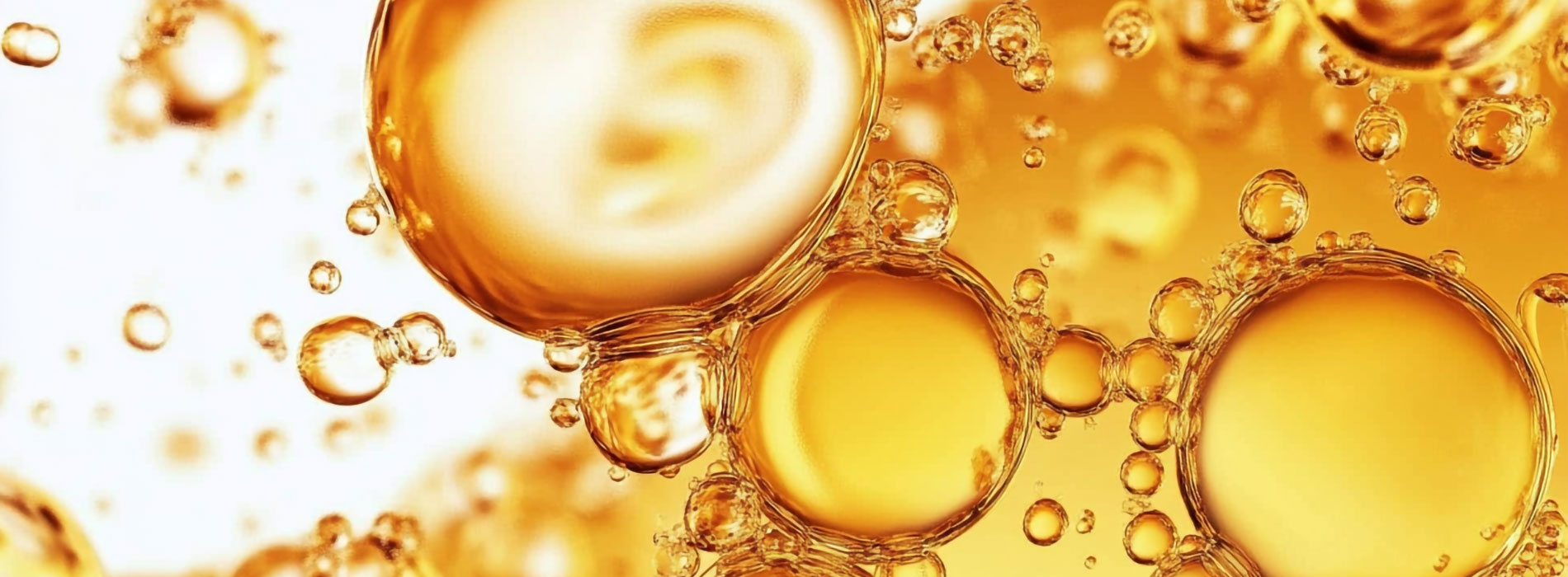 Plant-based lecithin water-oil emulsion
